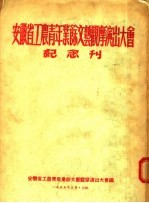 安徽省工农青年业余文艺观摩演出大会纪念刊