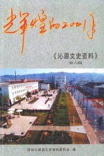 辉煌的2001年