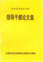 社会治安综合治理 领导干部论文集