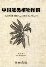 中国蕨类植物图谱