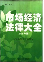 市场经济法律大全 1995年版