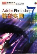 Adobe PHOTOSHOP 7.0精彩实例