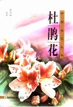 杜鹃花