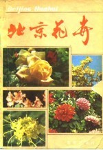 北京花卉