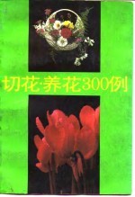 切花·养花300例