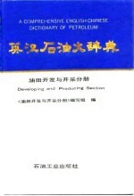 英汉石油大辞典 油田开发与开采分册