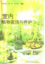 室内植物装饰与养护