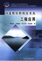 河流数值模拟技术及工程应用