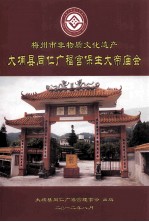 梅州市非物质文化遗产 大埔县同仁广福宫保生大帝庙会