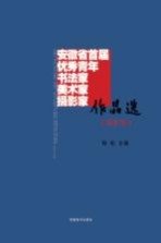 安徽省首届优秀青年书法家、美术家、摄影家作品选 摄影卷