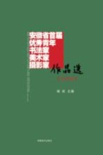 安徽省首届优秀青年书法家、美术家、摄影家作品选 美术卷