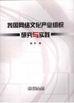 我国网络文化产业组织研究与实践