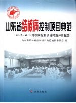 山东省结核病控制项目典范 CIDA/WHO结核病控制项目终期评价报告