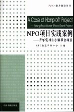 NPO项目实践案例 青年实习生小额基金项目 Young Practitioner Micro Grant Project