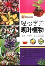 轻松学养观叶植物