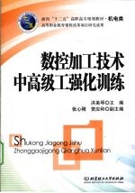 数控加工技术中、高级工强化训练