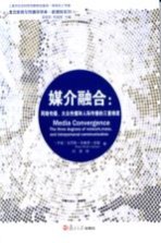 媒介融合  网络传播、大众传播和人际传播的三重维度