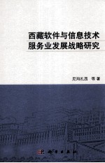 西藏软件与信息技术服务业发展战略研究