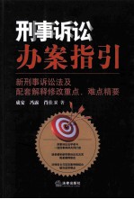 刑事诉讼办案指引 新刑事诉讼法及配套解释修改重点、难点精要