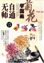 无师自通学国画 菊花