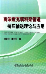 高浓度充填料浆管道挤压输送理论与应用