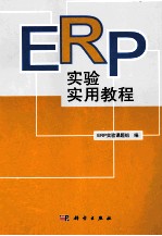 ERP实验实用教程