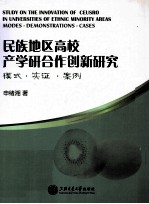 民族地区高校产学研合作创新研究 模式·实证·案例