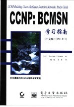 CCNP BCMSN学习指南 中文版