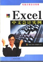 Excel中文会计实例