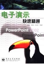 电子演示快速精通 PowerPoint 2002