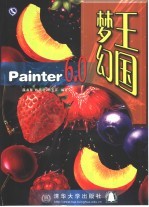 Painter 6.0梦幻王国