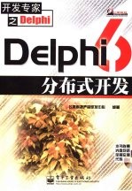 Delphi 6分布式开发