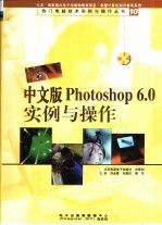 中文版Photoshop 6.0实例与操作