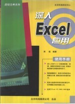 深入Excel应用