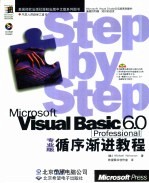 Microsoft Visual Basic 6.0专业版循序渐进教程