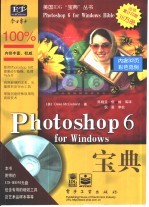 Photoshop 6 for Windows宝典