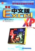 精通Excel XP