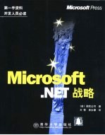 Microsoft.NET战略