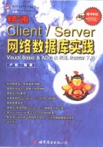 精通Client/server网络数据库实践