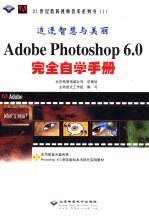 Adobe Photoshop 6.0完全自学手册