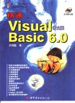 精通Visual Basic 第10章 框架