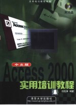 Access 2000中文版实用培训教程