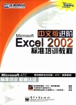 Microsoft Excel 2002中文版进阶标准培训教程