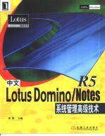 中文Lotus Domino/Notes R5系统管理高级技术