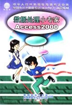 数据处理小专家 Access2000