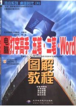 电脑打字高手 五笔·二笔·Word图解教程