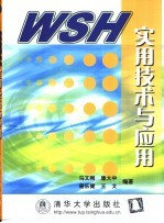 WSH实用技术与应用