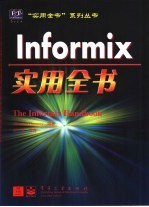 Informix实用全书