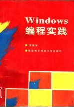 Windows编程实践