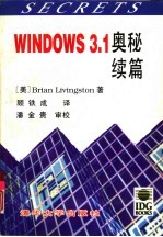 Windows 3.1奥秘 续篇